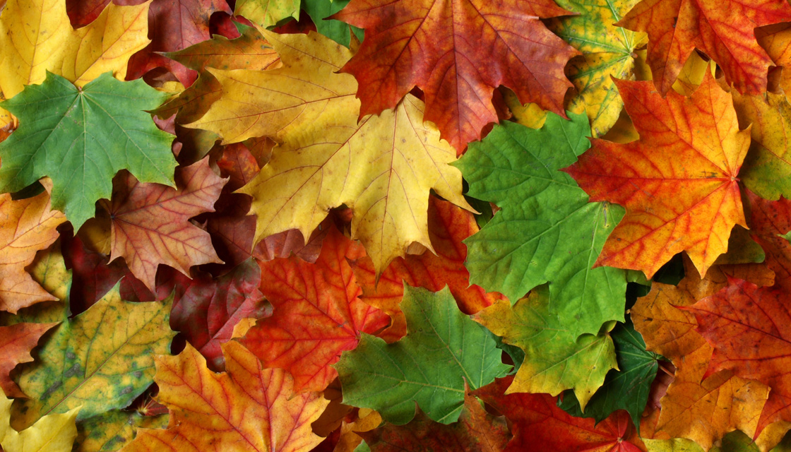 Das sind die Mode und Schmucktrends für den Herbst