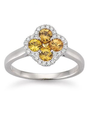 Palido Ring - 52 750 Gold, Brillant, Edelstein weißgold