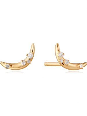 Damen-Ohrstecker 585er Gelbgold Diamant Ania Haie Gold