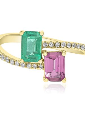 Edelstein-Goldring (CIRARI)