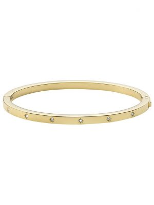Fossil Armreif Vintage Glitz JF03872710