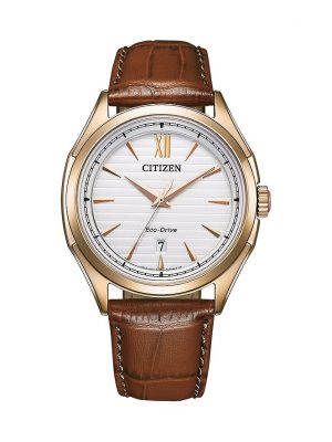 Citizen Herrenuhr Leder Eco Drive AW1753-10A Edelstahl