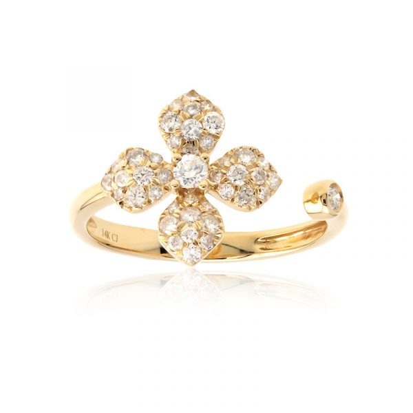 I1 (H) Brillant-Goldring (CIRARI)