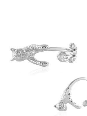 Silberring