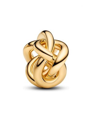 Pandora Charm Moments 763755C00