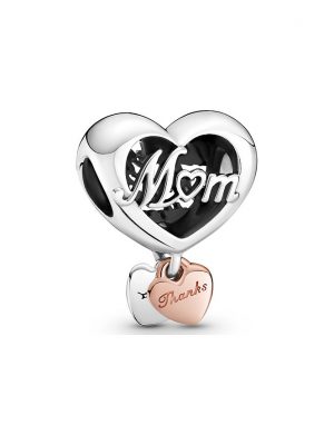 Pandora Charm Moments 789372C00