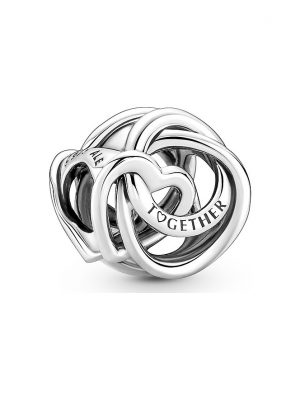 Pandora Charm Moments 791507C00