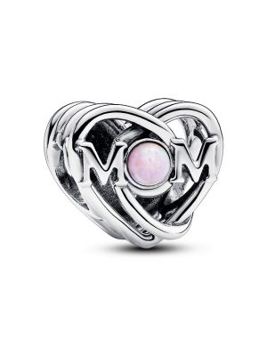 Pandora Charm Moments 793233C01