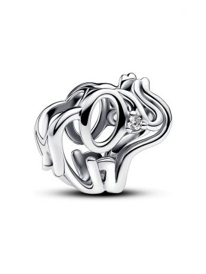 Pandora Charm Moments 793345C01