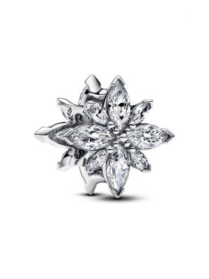 Pandora Charm Moments 793591C01