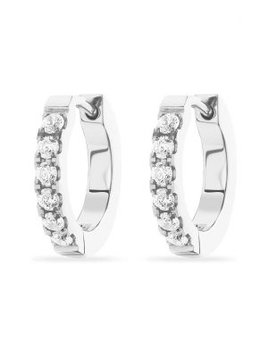 FAVS Creolen 88589718